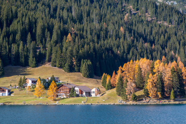 istock Autumn at the Davos Lake, Grisons, Swiss 915834944