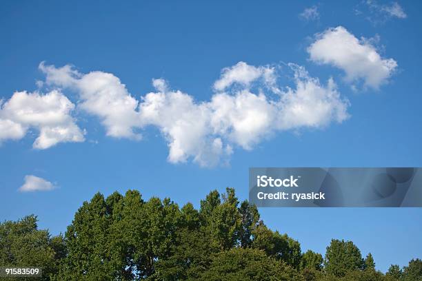 Himmel Wolken Treetops Stockfoto und mehr Bilder von Baum - Baum, Baumkrone, Blau