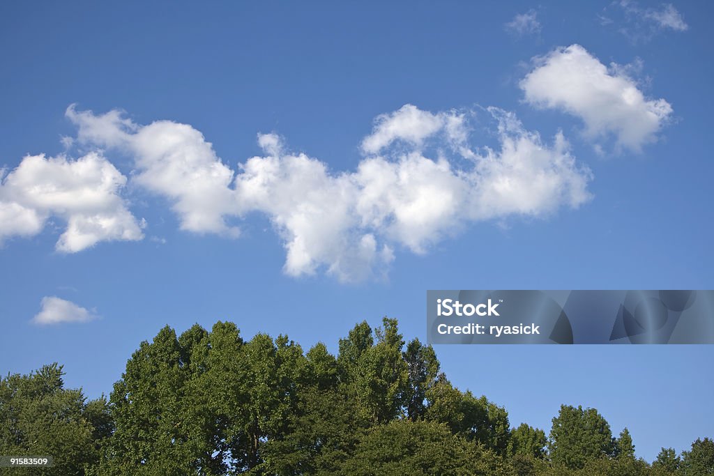 空に雲&木立 - カラー画像のロイヤリティフリーストックフォト
