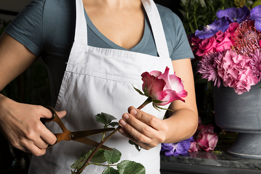 Florist woman trimming a rose.