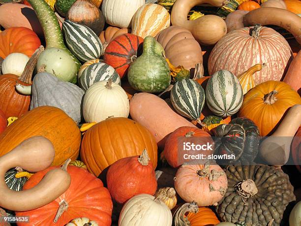 Harvest Stockfoto und mehr Bilder von Agrarbetrieb - Agrarbetrieb, Blatt - Pflanzenbestandteile, Blumenbeet