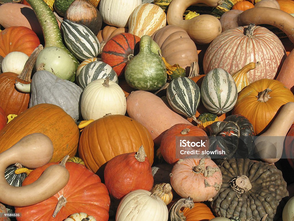 Harvest - Foto de stock de Alimento libre de derechos