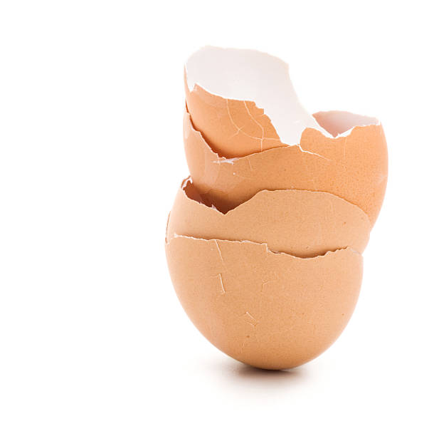 cracked egg shells stock photo