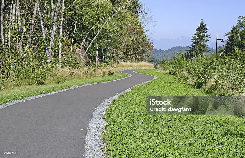 Pothway Pathway Stock Photo - Download Image Now - Bush, Clear Sky, Clover - iStock