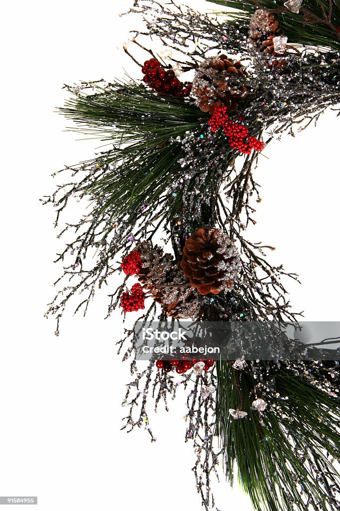 Pine Kranz - Lizenzfrei Baum Stock-Foto