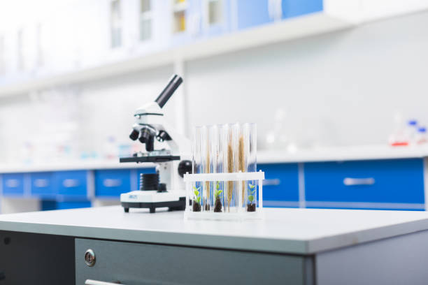 istock Small green plants growing in vials 915852906