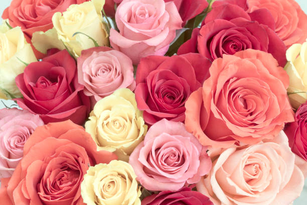 istock Bouquet of roses 915854410