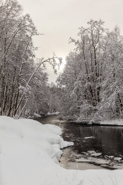 istock Snow covered trees by a river in winter 915855184