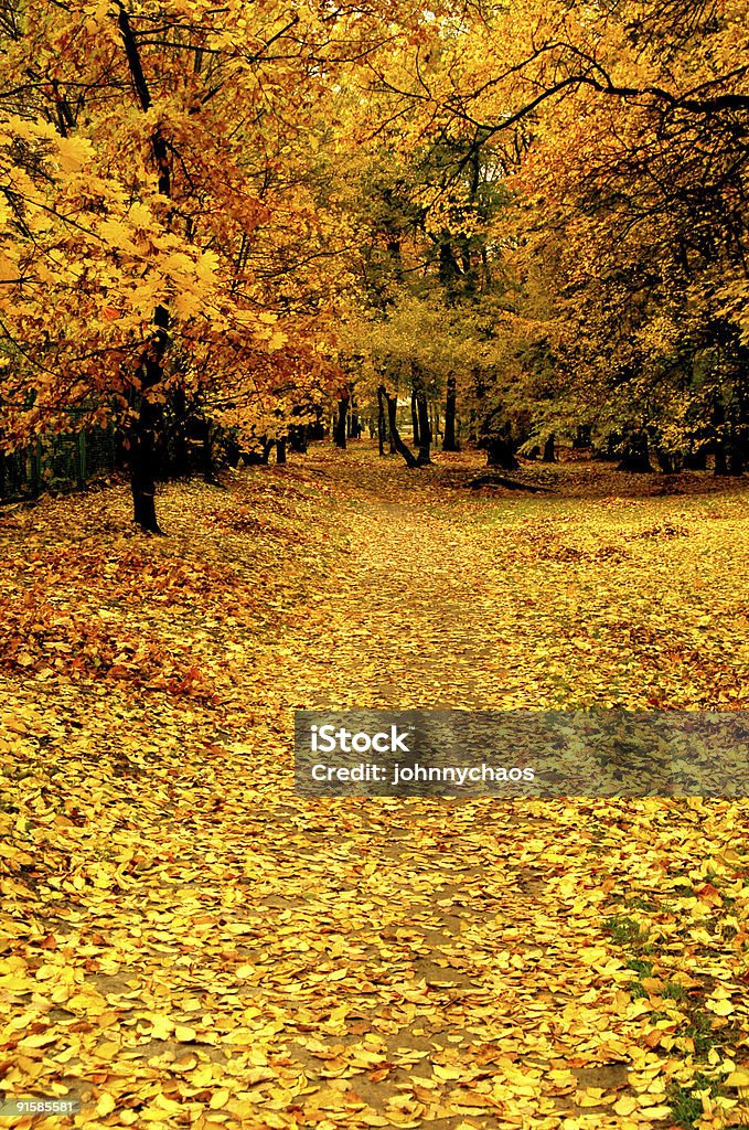 Outono no parque - Foto de stock de Alto - Descrição Geral royalty-free
