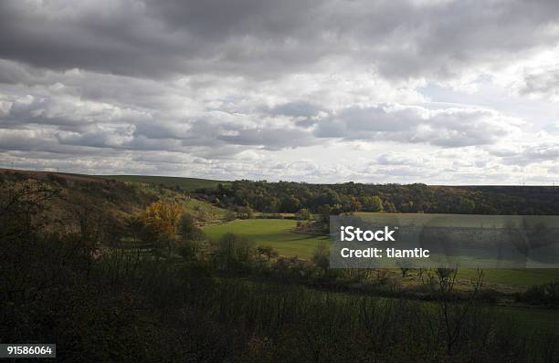 Landscape Stock Photo - Download Image Now - Agricultural Field, Agriculture, Bush