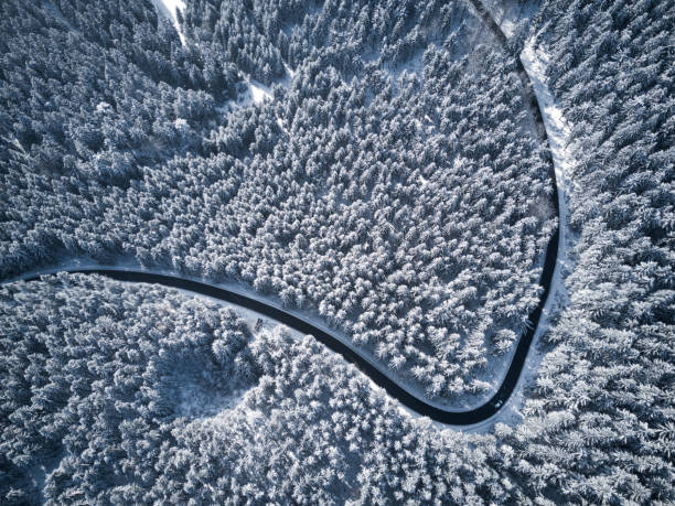 istock Road leading through Winter Forest, Drone View 915861252