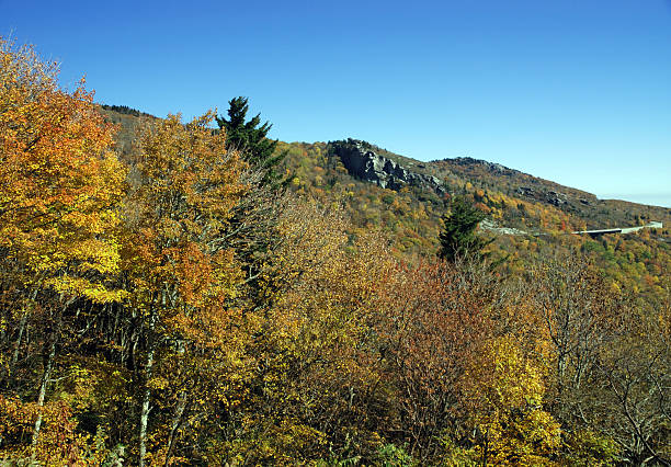 istock Bridge View In The Autumn 91586164