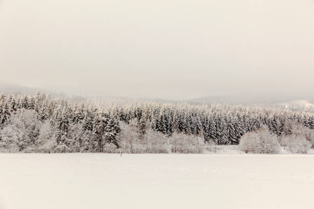 istock Snow covered landscape by lake in winter. 915861880