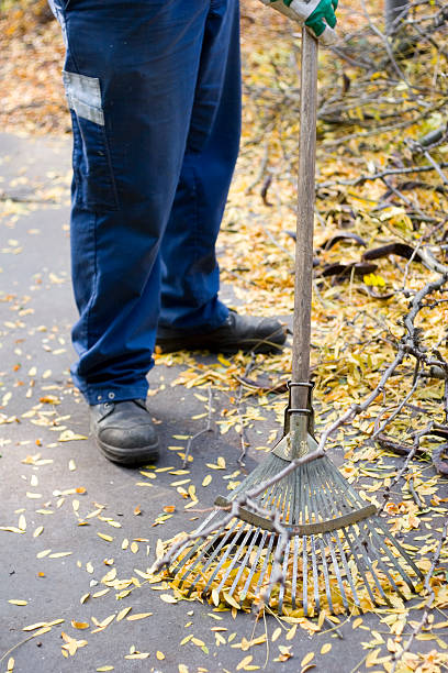istock Cleaning the street 91586457