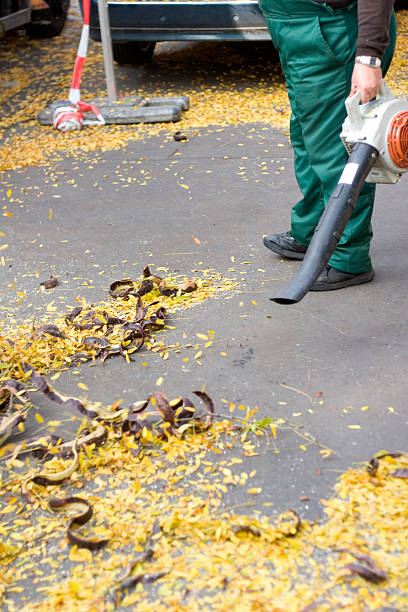 istock Cleaning the street 91586464