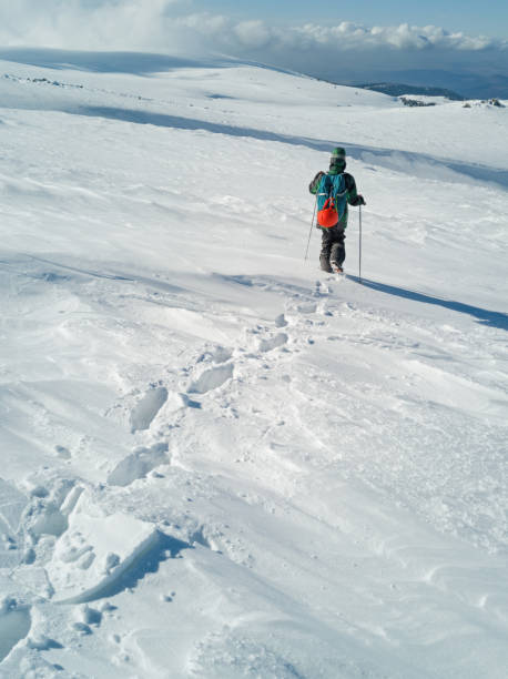 istock Winter day in the mountain 915865432