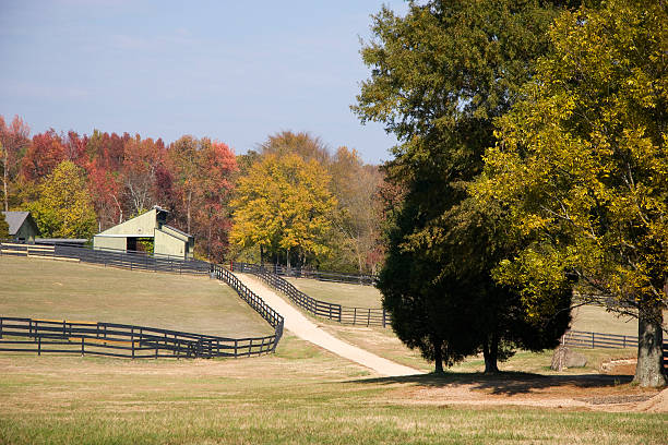 istock Driveway to the Barns 91586554