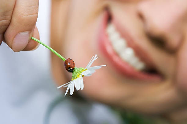 gros plan femme souriante tenant une fleur de camomille avec coccinelle - ladybug moving up single flower close to photos et images de collection