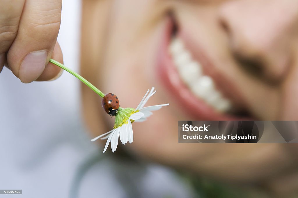 close-up mulher sorridente segurando flores camomile com Joaninha - Foto de stock de Joaninha royalty-free