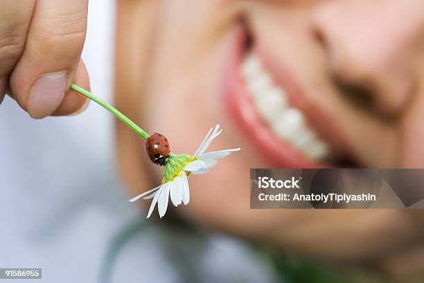 Foto de Closeup Mulher Sorridente Segurando Flores Camomile Com Joaninha e mais fotos de stock de Joaninha