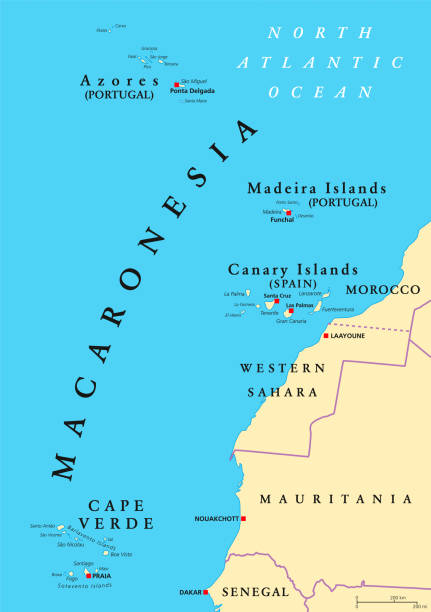 stockillustraties, clipart, cartoons en iconen met macaronesië politieke kaart - canarische eilanden