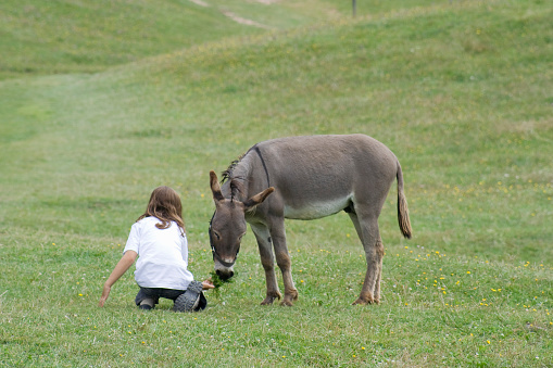 Niño y burro en Green Field-Dolomiti, italiano alpes photo