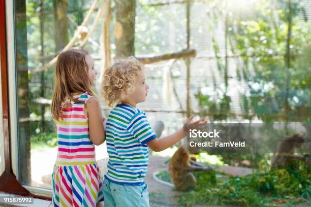 Ragazzo E Ragazza Con Scimmia Allo Zoo Bambini E Animali - Fotografie stock e altre immagini di Zoo - Struttura con animali in cattività