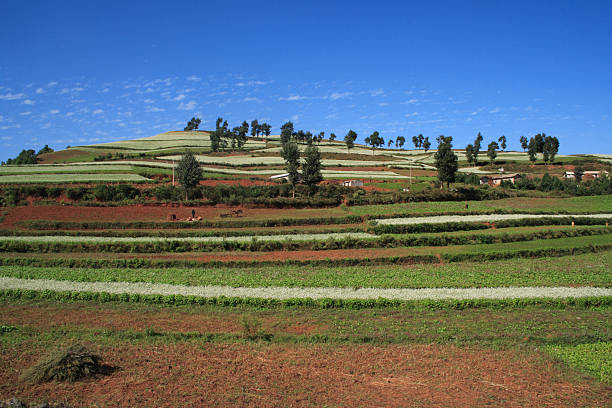 istock The Red Soil of Dongchuan 91587804