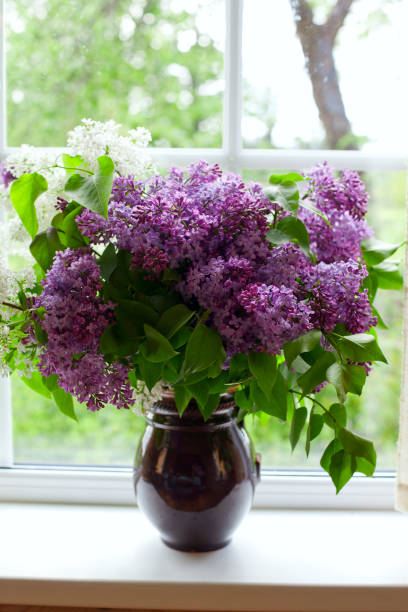 istock bunch of lilac in vase on window-sill 915879244