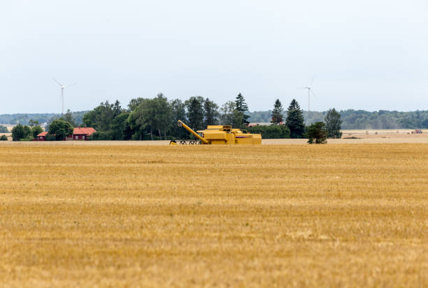 istock Farmer harvesting with yellow combine 915883302