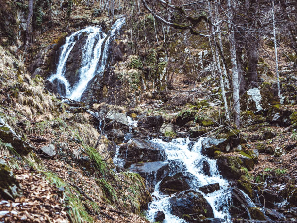 istock mountain waterfall in the forest through the stones stream 915883720