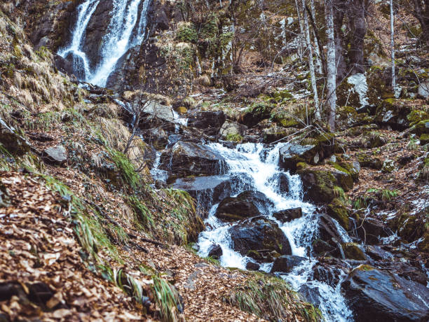 istock mountain waterfall in the forest through the stones stream 915883804