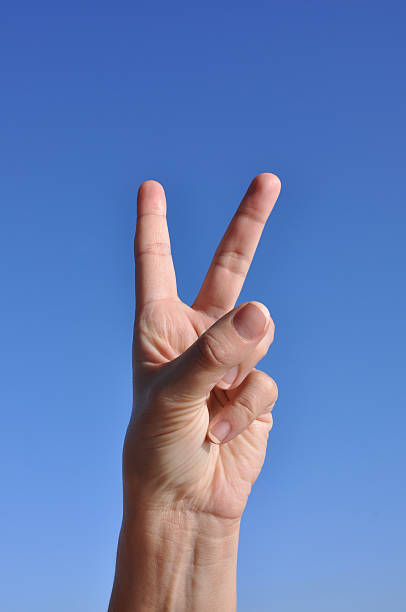 istock Woman hand - Two 91588908