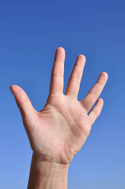 istock Woman hand- five fingers open 91589184