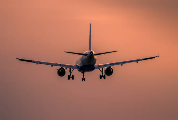 istock Airplane landing at sunset 915892558