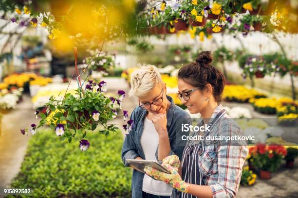 Adorable Charming Professional Modern Florist Woman Showing A List Of Flowers On A Tablet To The Curious Attractive Blonde Female Customer In A Greenhouse Stock Photo - Download Image Now