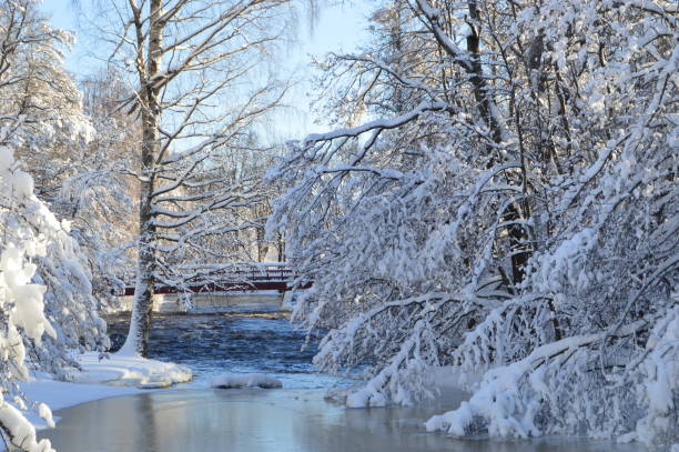 istock Winter wonderland 915896248