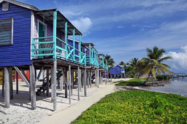 istock Caribbean houses on stilts on the beach 915897174