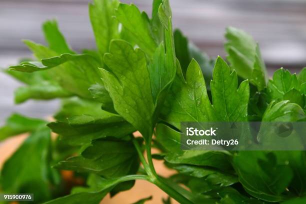 Fresh Green Parsley On The Wooden Table Selective Focus Stock Photo - Download Image Now