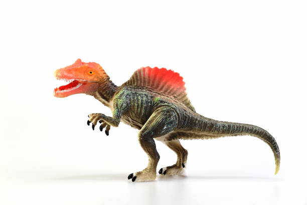 istock Shooting dinosaur isolated on white background, Animal concept. 915903984