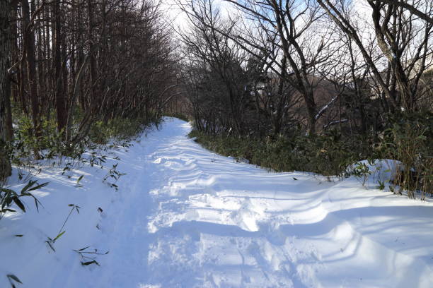 ein verschneites gebirge wanderweg zum mount adatara in der präfektur fukushima, japan (29. dezember 2017) - nihonmatsu stock-fotos und bilder