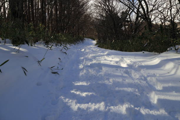 ein verschneites gebirge wanderweg zum mount adatara in der präfektur fukushima, japan (29. dezember 2017) - nihonmatsu stock-fotos und bilder