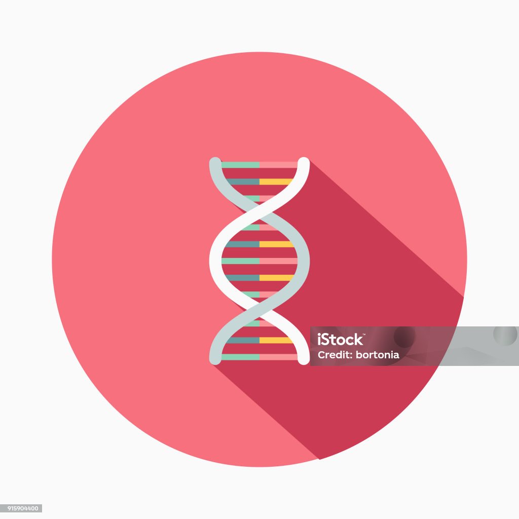 Genetics Flat Design Baby Icon A flat design styled baby icon with a long side shadow. Color swatches are global so it’s easy to edit and change the colors. DNA stock vector