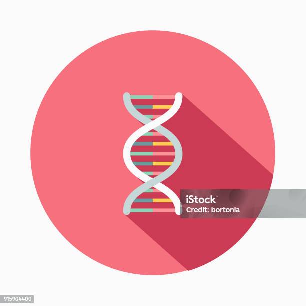 Genetics Flat Design Baby Icon Stock Illustration - Download Image Now - DNA, Genetic Research, Icon Symbol