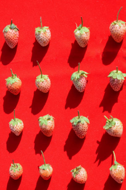 fondo di frutta alla fragola fresca - orgainic foto e immagini stock