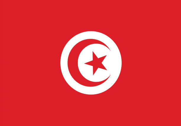 TUNISIA FLAG Vector TUNISIA FLAG tunisia stock illustrations