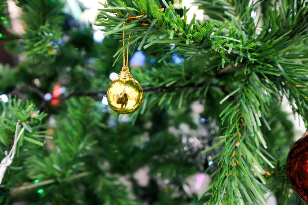 istock Christmas day or christmas decoration on pine 915920652