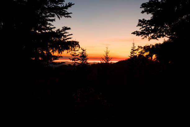 istock Iron Mountain Hike in Oregon 915921090