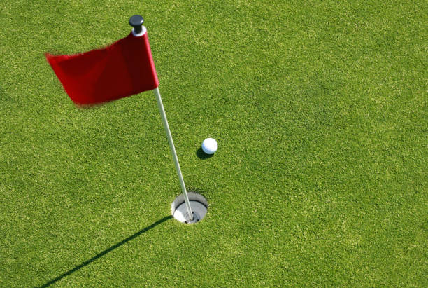 Golf ball on green with flag.