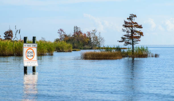 Lake Pontchartrain An island at the mouth of the Tchefuncte River at Lake Pontchartrain near Madisonville, Louisiana channel marker stock pictures, royalty-free photos & images